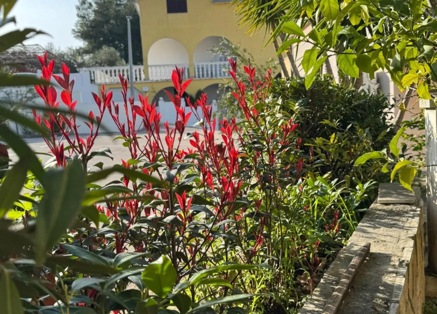 Apartmani Tanja Trogir
