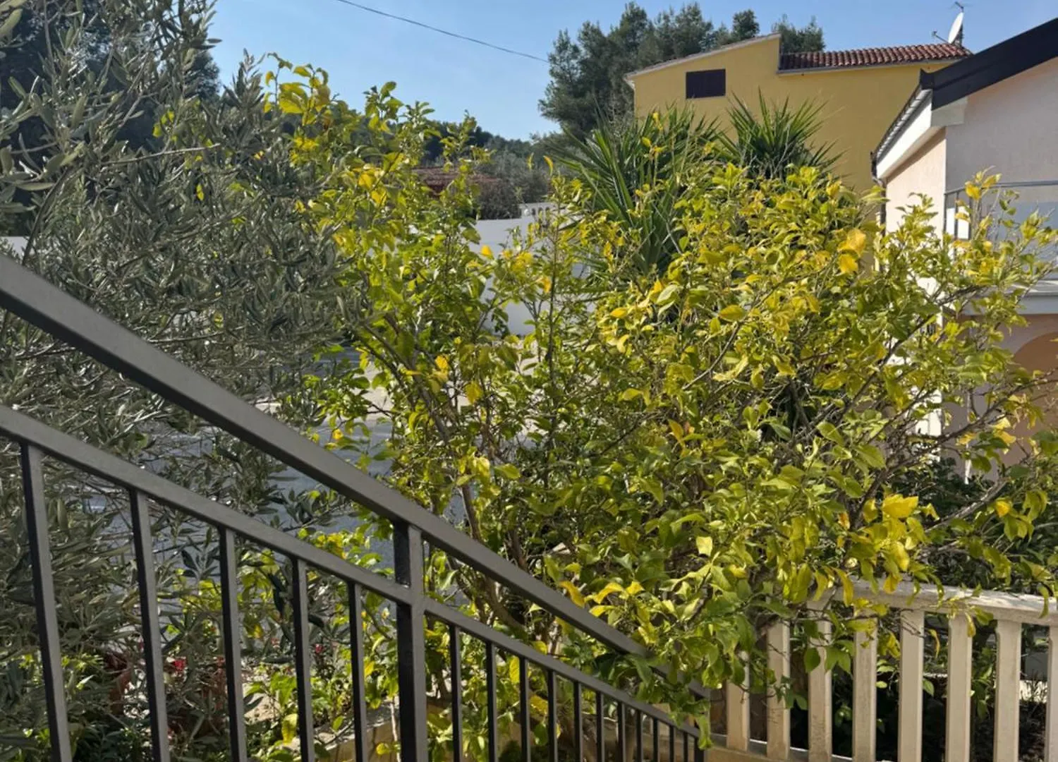 Apartmani Tanja Trogir Apartment