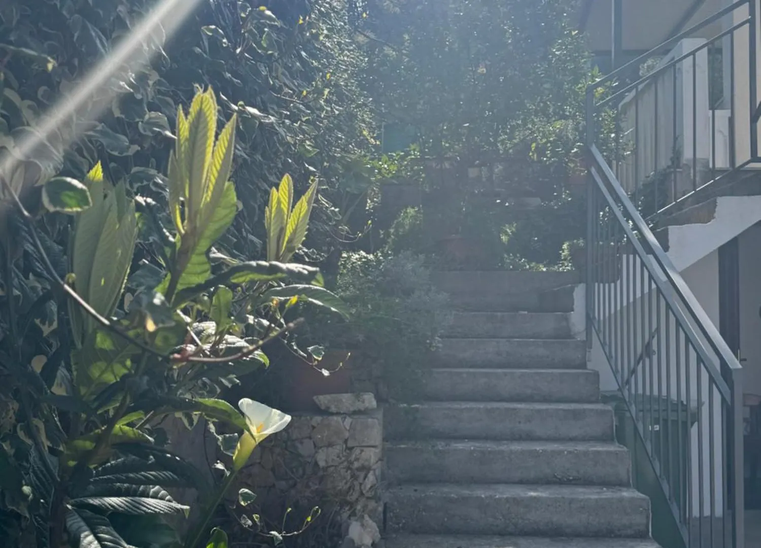 Apartmani Tanja Trogir